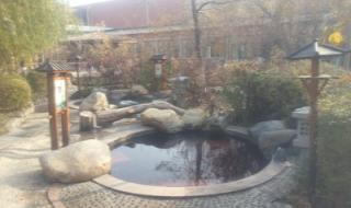 鲅鱼圈温泉 鲅鱼圈温泉